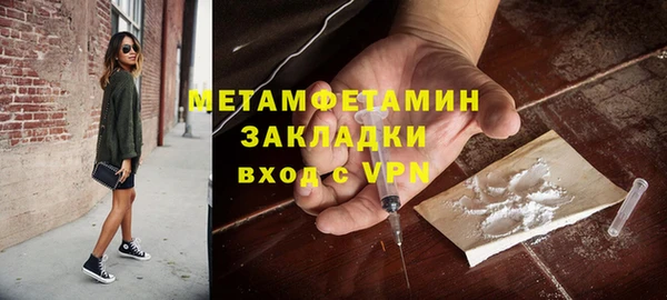прущие грибы Пестово